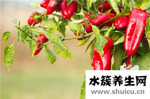 自制老干媽
