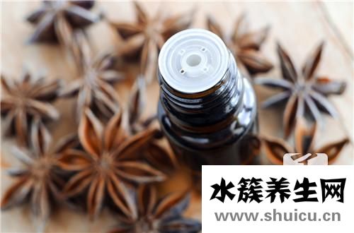 香樟葉