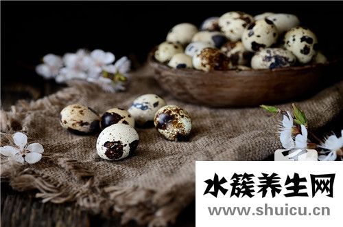 鵪鶉蛋的營養價值