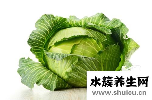 圓白菜的做法