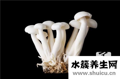 免疫力低