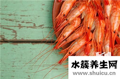 小龍蝦吃什么