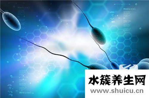 精子是什么顏色