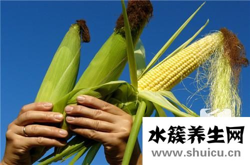 蒲公英的作用與功效