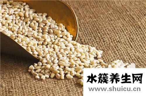 薏米仁