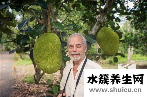 木菠蘿