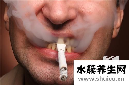 香煙保質期