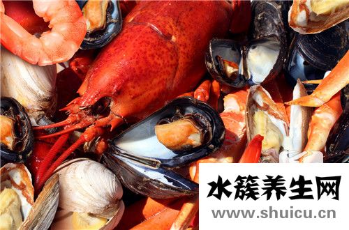 海參的營養價值