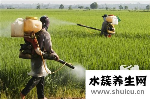 滅蚊子最有效的方法