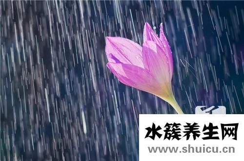 食用純堿