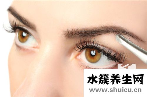 畫眉毛