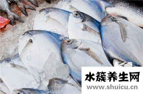 酸菜魚用什么魚