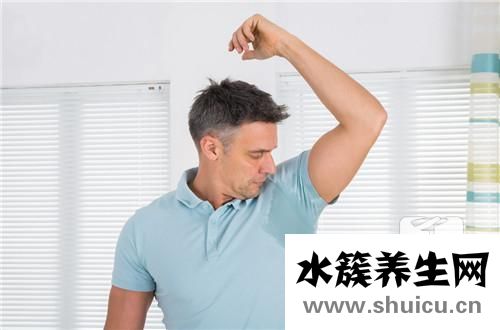 包撲