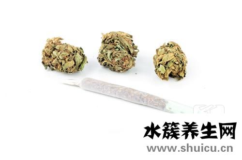 槐米的功效與作用