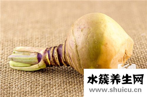 芥菜疙瘩