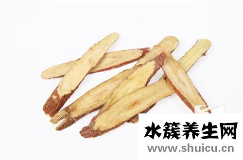 蒲公英根