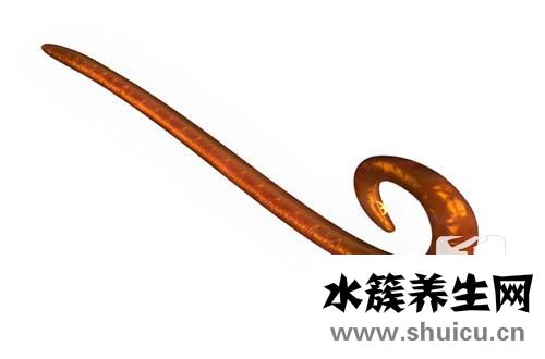 絳蟲
