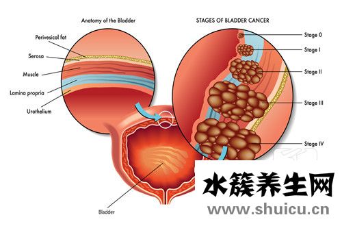括約肌