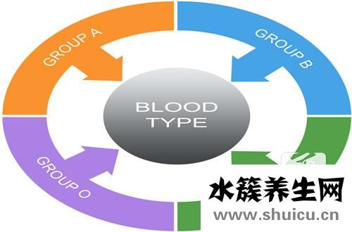 血型遺傳規律表
