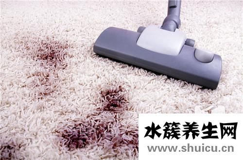 家里有白蟻的跡象圖片