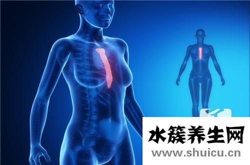 胸部x線檢查
