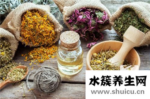 癩蛤蟆草的功效與作用