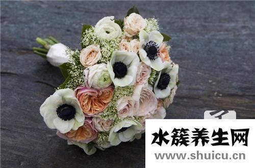 清蒸百合