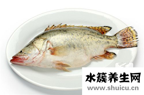 墨魚仔怎么處理
