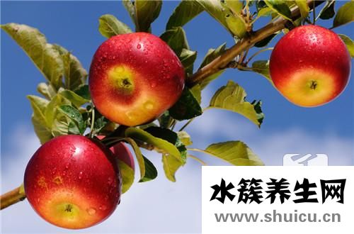 蘋果和什么榨汁好喝