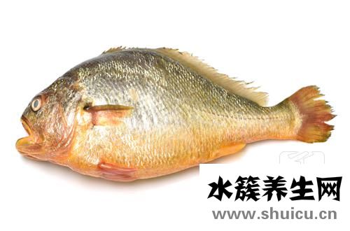 野生魚和養殖魚的區別