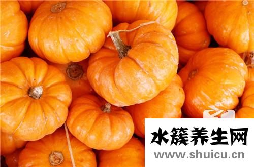 南瓜餅熱量
