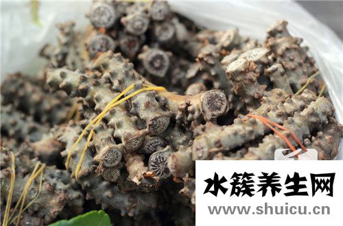 苦蕎米怎么吃