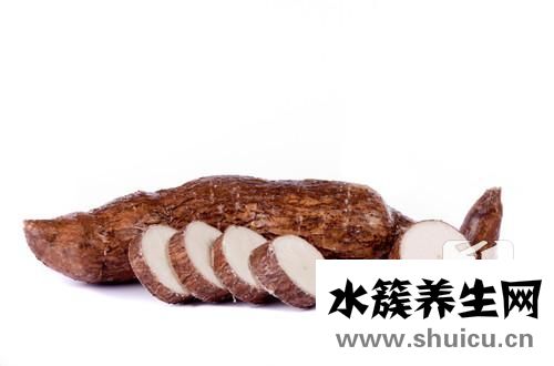 皮樹