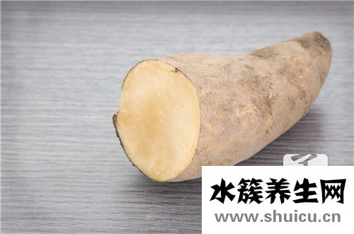 高山雪蓮