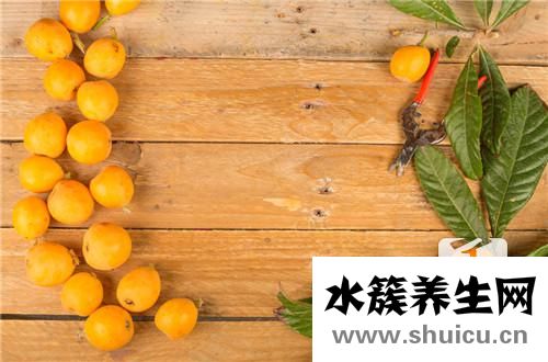 枇杷葉怎么煮水止咳