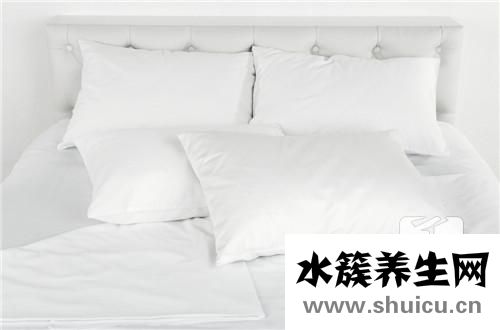 側柏種子