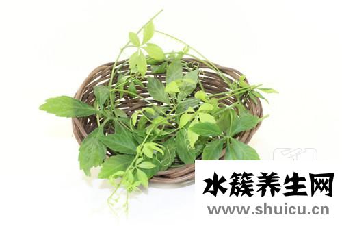 絞股藍功效