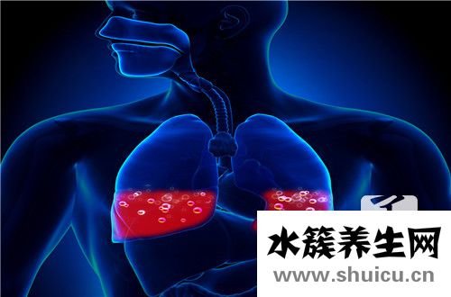 肺動脈瓣輕度返流