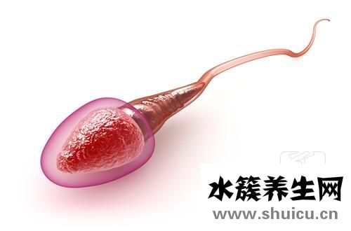 精子質量檢測