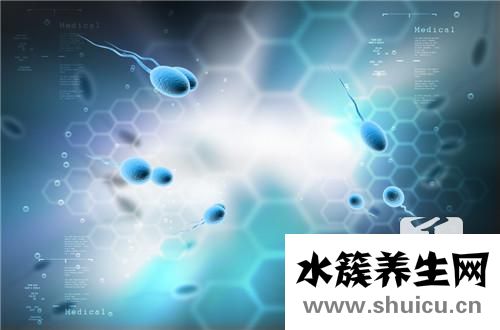 精子質量檢測