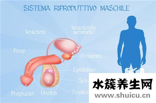 男人精