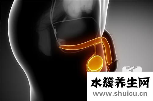 提高懷孕幾率