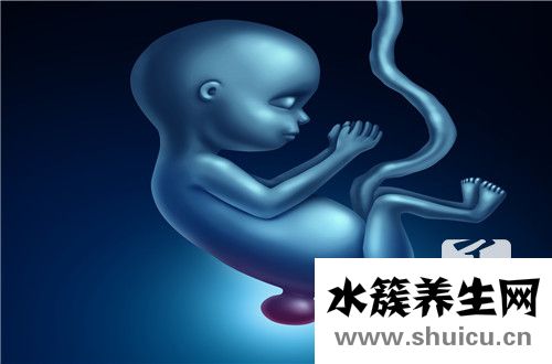 葉酸要吃多久