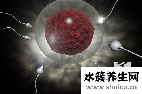 精子果凍狀