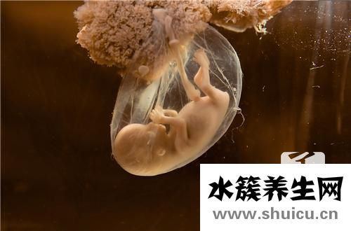 胎膜殘留