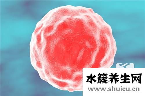 女性人乳瘤病毒癥狀
