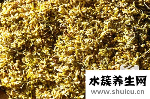 可以播放