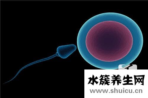 床對著鏡子