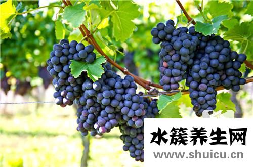 智齒疼痛