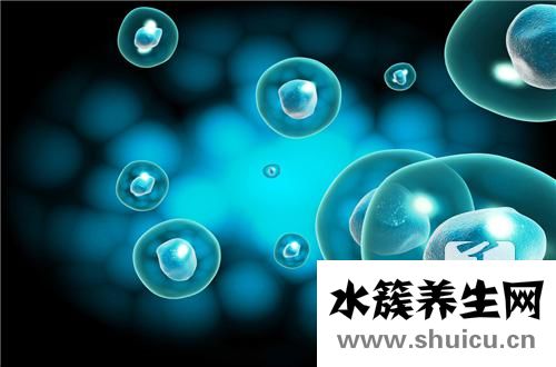 免疫細胞療法